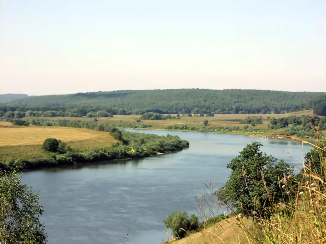 Ока в алексине фото